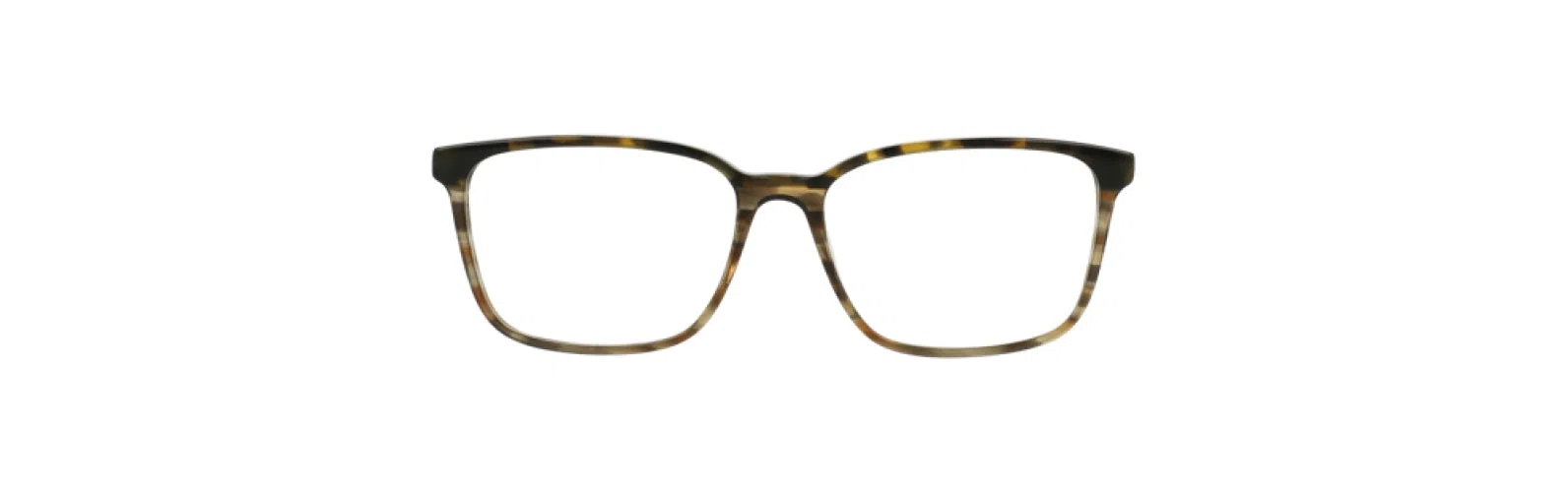 Argyleculture ARPERRY Eyeglasses - view 4